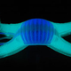 Illustration for article titled Scientists are building facehugger-like robots that can camouflage themselves